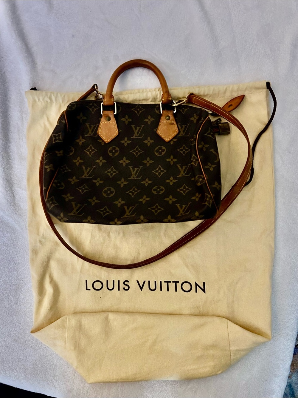 Louis Vuitton Bag